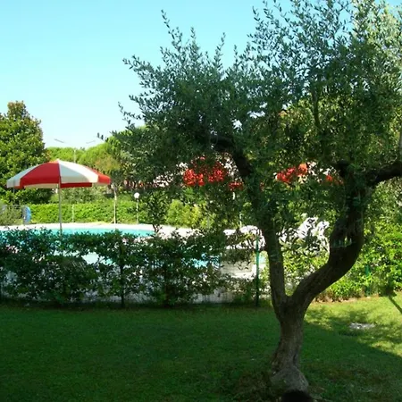 Shared Pool And Olive Orchard Garden Bibione